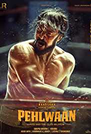 Paiwaan 2019 Hindi Full Movie Download FilmyMeet