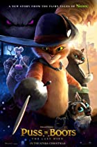 Puss in Boots The Last Wish 2022 Hindi Dubbed 480p 720p 1080p FilmyMeet