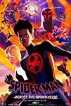 Spider Man Across the Spider Verse 2023 Hindi Dubbed 480p 720p 1080p FilmyMeet