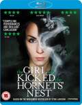 The Girl Who Kicked The Hornets Nest 2009 Dual Audio Hindi 480p FilmyMeet